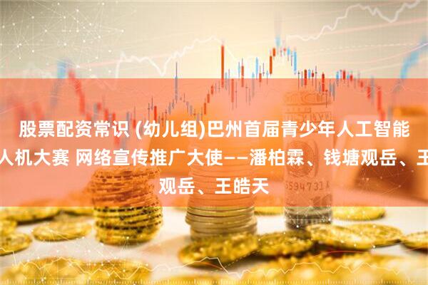 股票配资常识 (幼儿组)巴州首届青少年人工智能・无人机大赛 网络宣传推广大使——潘柏霖、钱塘观岳、王皓天